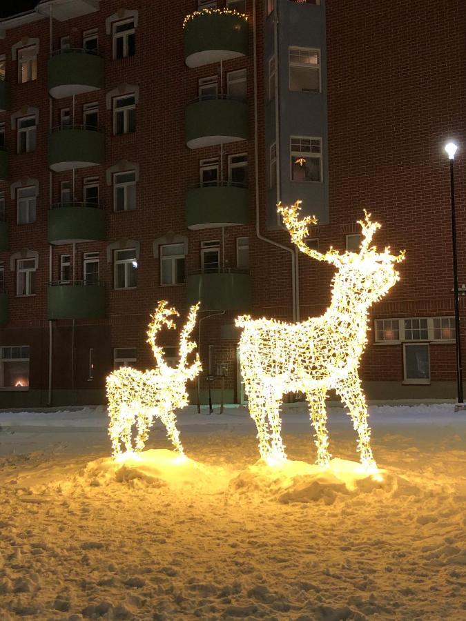 Wonderful Arctic City Apartment Ροβανιέμι Εξωτερικό φωτογραφία